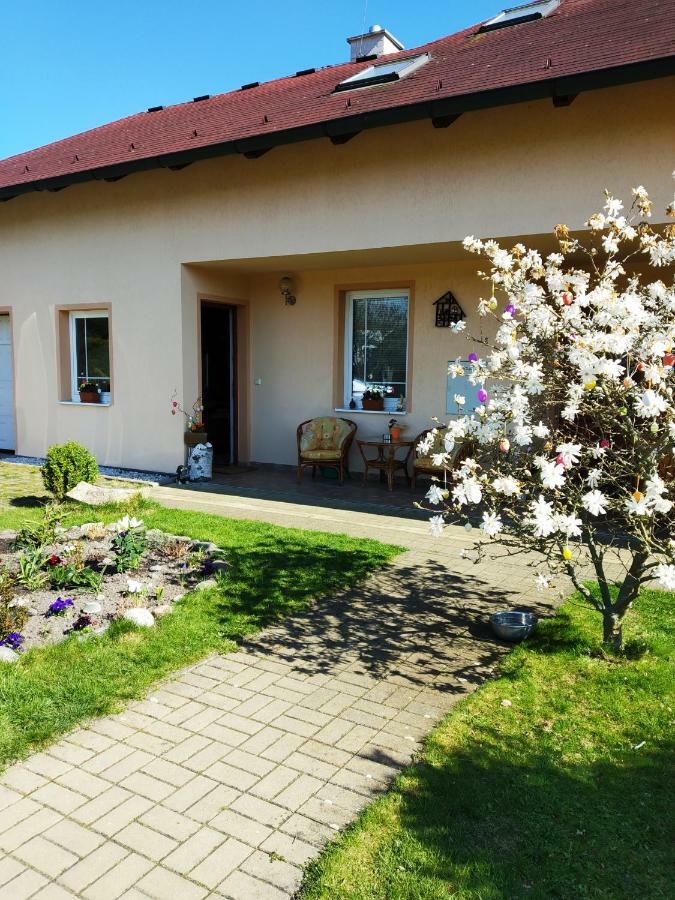 Ubytování Poustka Františkovy Lázně Exterior foto
